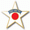 Arctic Star emblem